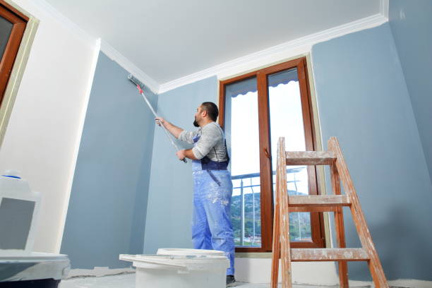 Trusted Hillsdale, NJ Mold Removal Experts