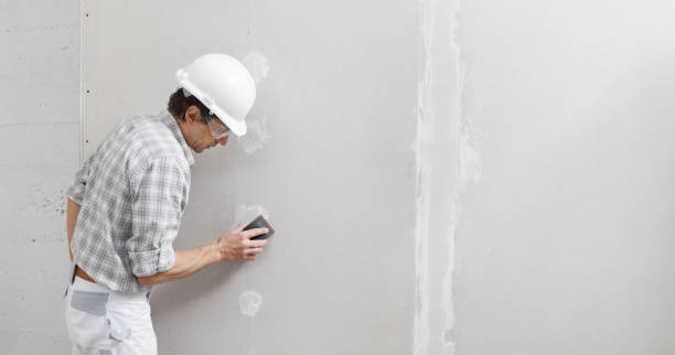 Best Mold Documentation for Insurance Claims  in Hillsdale, NJ
